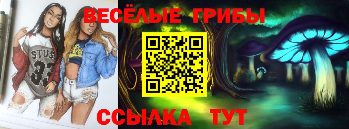 Курган  Галлюциногенные грибы мухоморы  Вход с VPN 